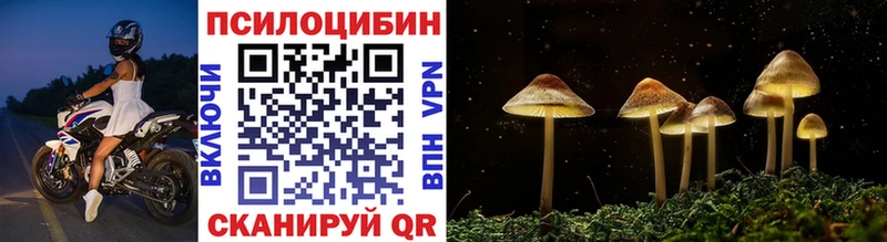 где найти   Циолковский  mega зеркало  Псилоцибиновые грибы Magic Shrooms 