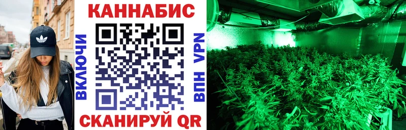 мега ONION где купить наркоту Циолковский Канабис марихуана